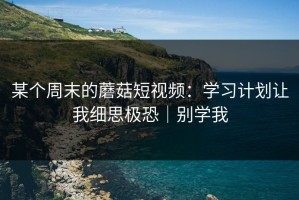 某个周末的蘑菇短视频：学习计划让我细思极恐｜别学我