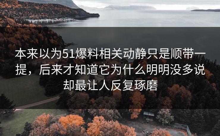 本来以为51爆料相关动静只是顺带一提，后来才知道它为什么明明没多说却最让人反复琢磨