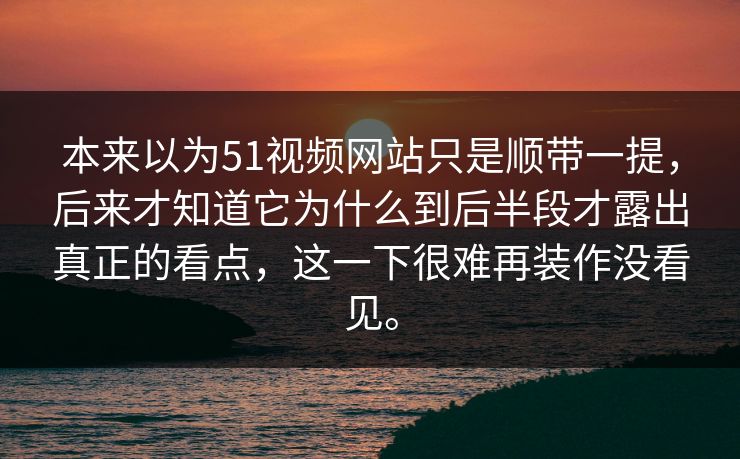 本来以为51视频网站只是顺带一提，后来才知道它为什么到后半段才露出真正的看点，这一下很难再装作没看见。