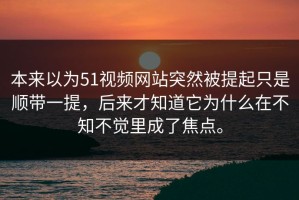 本来以为51视频网站突然被提起只是顺带一提，后来才知道它为什么在不知不觉里成了焦点。