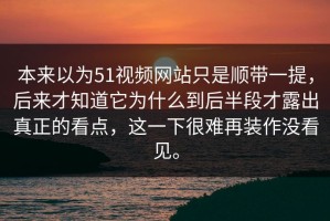 本来以为51视频网站只是顺带一提，后来才知道它为什么到后半段才露出真正的看点，这一下很难再装作没看见。