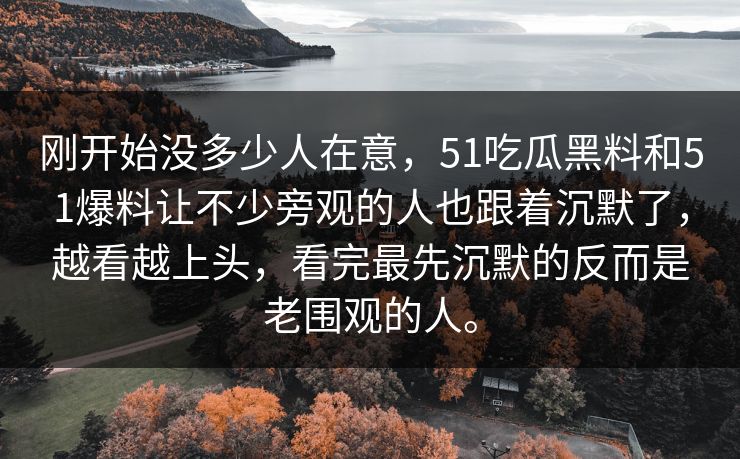 刚开始没多少人在意，51吃瓜黑料和51爆料让不少旁观的人也跟着沉默了，越看越上头，看完最先沉默的反而是老围观的人。
